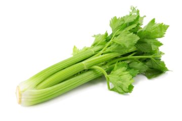 Celery